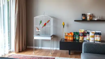 Wellensittich sprechen lernen
