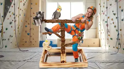 Die 8 besten Vogelkletterbäume im Vergleich (Oktober 2026)