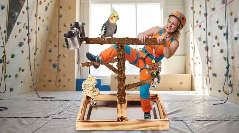 Die 8 besten Vogelkletterbäume im Vergleich (Oktober 2026)