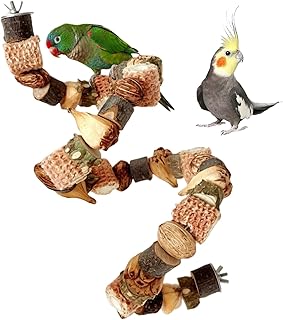 50cm Spielzeugstab mit Nüssen Wellensittich Spielzeug, Nagemöglichkeit für Vögel, Sitzstangen…