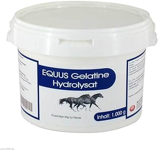 GELATINE Hydrolysat Equus Pulver vet. 1000 g