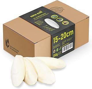 Sepiaschalen – XL Box 250g 15-20cm | Natürliche Kalzium und Mineralstoff-Quelle | Sepia Schale…