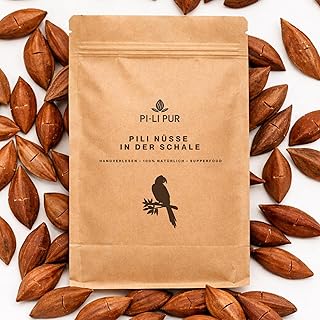 Pilinüsse in der Schale für Papageien – Naturbelassenes Beschäftigungsfutter – Ungesalzen …