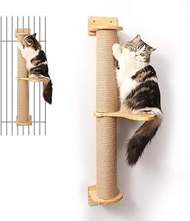 FUKUMARU Kletternwand Katzen, Kratzbaum für Katzen, 93cm hoch Katzenbaum mit Katzentreppe, Kratz…
