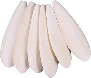 Gitua 6 Stück Sepiaschalen für Schildkröten, 10.5-12cm Sepia Schalen für Vögel Reptilien Bar…