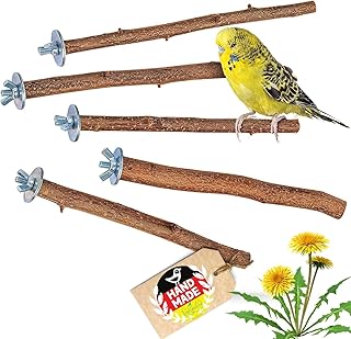 Vogelgaleria® 5 herrliche Natur Sitzstangen für Vögel wie Wellensittich, Nymphensittich, Kanar…
