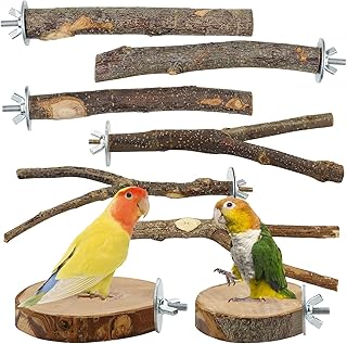 8 Stück Wellensittich Spielzeug Zubehör, Vogelspielzeug Holz Natur, Nymphensittich Spielzeug, V…