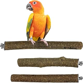 3 Sitzstangen für Papageien, Haselnuss, Befestigung aus Edelstahl, Vogel Zubehör, Durchmesser 2…