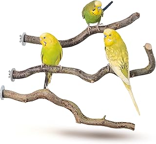 Vogelgaleria® 3 Sitzstangen für Wellensittiche Naturholz Sitzstangen Wellensittich Zubehör Vog…