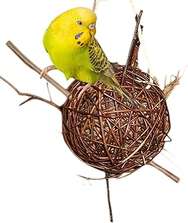 Vogelgaleria® Weidenkugel 20cm gefüllt mit Heu | zum knabbern und Klettern | Natürliches Welle…