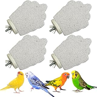 PINVNBY 4 PCS Vogel Sitzstangen Kalzium Papagei Sitzstange Stand Vogel Schnabel Schleifen Stein F…
