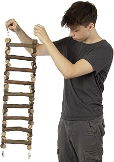 HappyBird | Vogelleiter | Hängeleiter 70 x 20 cm für Papageien | Leiter aus Naturästen – Papag…