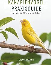 Kanarienvogel Praxisguide: Haltung & Glückliche Pflege