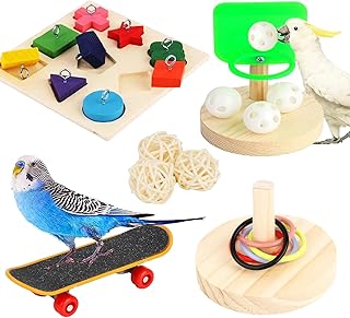 WisherMar 5 Stück Vogelspielzeug für Papageien, Training – Trainingsspielzeug mit Tretroller,…