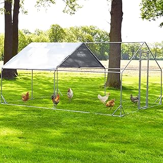 zooprinz XXL Freilaufgehege aus Metall mit Sonnendach/Regenschutz für Hühner – Außengehege a…