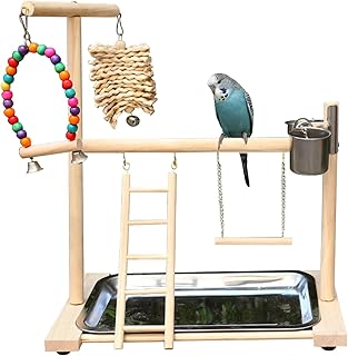 Vogel Spielplatz, Holz Wellensittich Spielplatz Freisitz mit 2 Edelstahl Feeder-Cup Spielzeug Lei…
