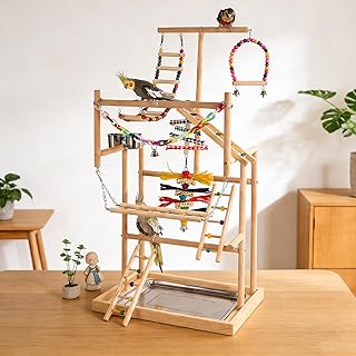 Vogelspielplatz aus Holz,mit Edelstahl-Feeder-Cup,Bunte Kunststoffkette für Haustiere,für Papag…