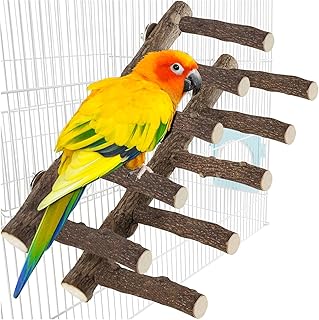 Papageienholzständer für Käfig, 31 cm Länge, natürliche Vogelleiter für kleine, mittelgroß…