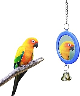 Vogelspiegel mit Glocke, Hanging Swing Wellensittich Interaktives Spielzeug für Sittich Nymphens…