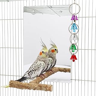 Dnoifne 30 × 20 cm Großer Vogelspiegel mit Sitzstange, Vogelspiegel mit Schaukelglockenspiel, V…