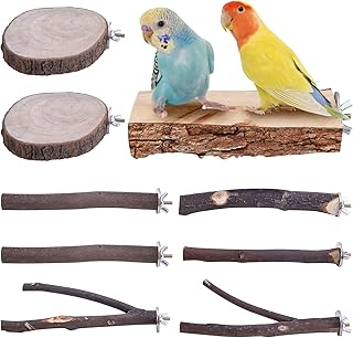 Natur Sitzstangen für Vögel: Vogelstange aus Holz, Stehend Vogelkäfig Zubehör, Sittichsitzsta…