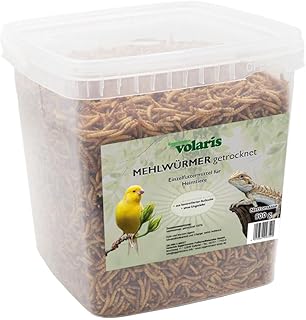 Eggersmann volaris Mehlwürmer getrocknet 900g – Wildvogelfutter proteinreich & natürlich – …