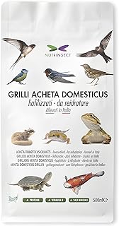 Gefriergetrocknete Schäkel – Naturfutter ideal für insektenfressende Vögel wie Schwalben, Schw…