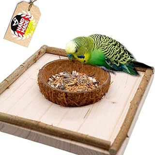 Vogelgaleria® Sitzbrett mit Kokosschale Futternapf zum Herausnehmen. Pfiffiges Vogelspielzeug un…