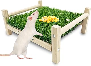 FlidRunest Holz-Ratten-Futtersuchspielzeug, Kunstrasen-Futtermatte für Ratten, sichere Rattenanr…