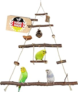 Vogelgaleria® Vogelspielplatz Vogelschaukel aus Naturholz | XXL Wellensittich Schaukel | kleines…