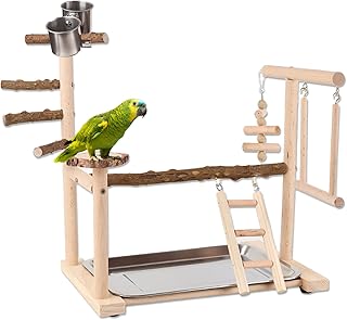 Vogel Spielständer – Holz papageienständer, Vogel Spielplatz mit Leiter, Schaukel, Feeder-Cup…