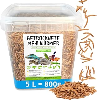 MEHLWÜRMER getrocknet 800g im praktischen Eimer (entspricht 5 Litern) | Proteinreicher Snack fü…