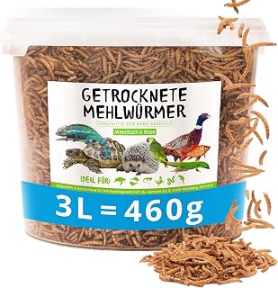 MEHLWÜRMER getrocknet 460g im Eimer (entspricht 3 Litern) | Proteinreicher Snack für Vögel, Wi…