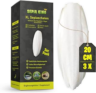 Sepia King – XL Sepiaschalen für Schildkröten, Vögel, Schnecken – Extra Dicke, große Sepia Sc…