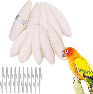10 Stück Natürliche Sepiaschalen, 9-12cm Sepiaschalen Tintenfisch, Sepia Schalen für Vögel mi…