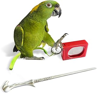 Papageientraining Clicker mit Zielstab, Erste Schritte Vogelklicker Trainingsset, Haustier Traini…