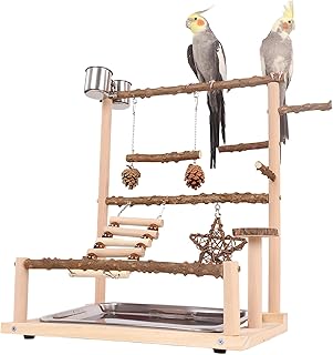 Vogelspielplatz Wellensittich Spielplatz Spielzeug, Großer Vogel Spielplatz mit Schaukel Sitzsta…