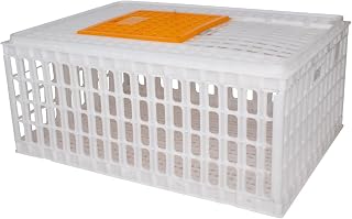 Beeketal ‚GBB-1‘ Geflügel Transportbox mit Schiebetür und Transportgriffen – Transportkiste aus…