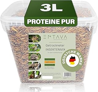 Soldatenfliegenlarven & Mehlwürmer getrocknet (3L) – Getrocknete Insekten in Premium-Qualität, …