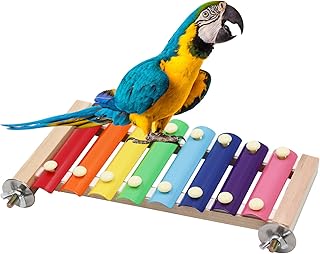 Dnoifne Buntes Vogel-Xylophon-Spielzeug, hängend, lustiges Xylophon-Spielzeug mit 8 Metallschlü…