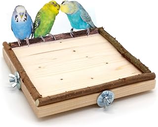 Vogelgaleria® Eck Sitzbrett 20x20cm mit Natur Holz Bordüre für Vögel wie Nymphensittich Welle…