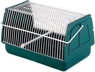 Kerbl Pet Transportbox für Kleintiere | Grün, 21 × 15 × 14 cm, kompakte Kunststoffbox für Ha…