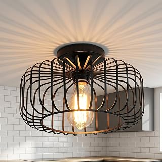 BRAVECOW Vogelkäfig Deckenlampe,Deckenleuchte Schwarz,Lampenschirm aus Metall,kompatibel mit E27…