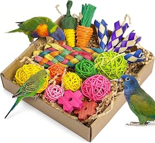 Vogelspielzeug, Vogel Foraging Spielzeugbox Papageien Schredder Spielzeug