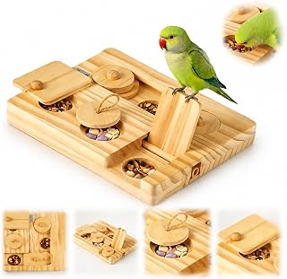 6 in 1 Vögel Futtersuchpuzzle Holz Interaktives Sittiche Futterspielzeug