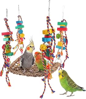 Schaukel Vogel Hängende, Wellensittich Spielplatz hängend, Wellensittich schaukel vogelkäfig, …