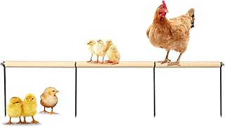 Extra Lange Hühner-Sitzstange – Kiefernholz‑Stand mit Metall‑Erdspieß, Trainingsplattform…