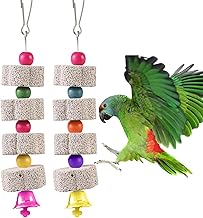 2 Stück Große Vogel Kauspielzeug,Mineralstein-Backenzahn-Spielzeug mit Glocke, Vogelschnabel-Sc…