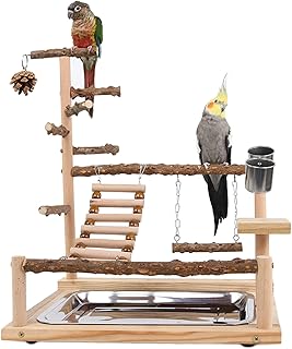 Wellensittich Spielplatz Vogel-Spielplatz mit Feeder-Cup Spielzeug Leiter Erklimmen Schaukel und …