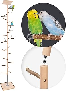 Vogelgaleria® Zimmerhoher Vogel Kletterbaum selbst konfigurierbar mit Naturholz-Sitzstangen, Vog…